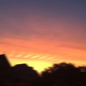 Meet your Posher, Rose